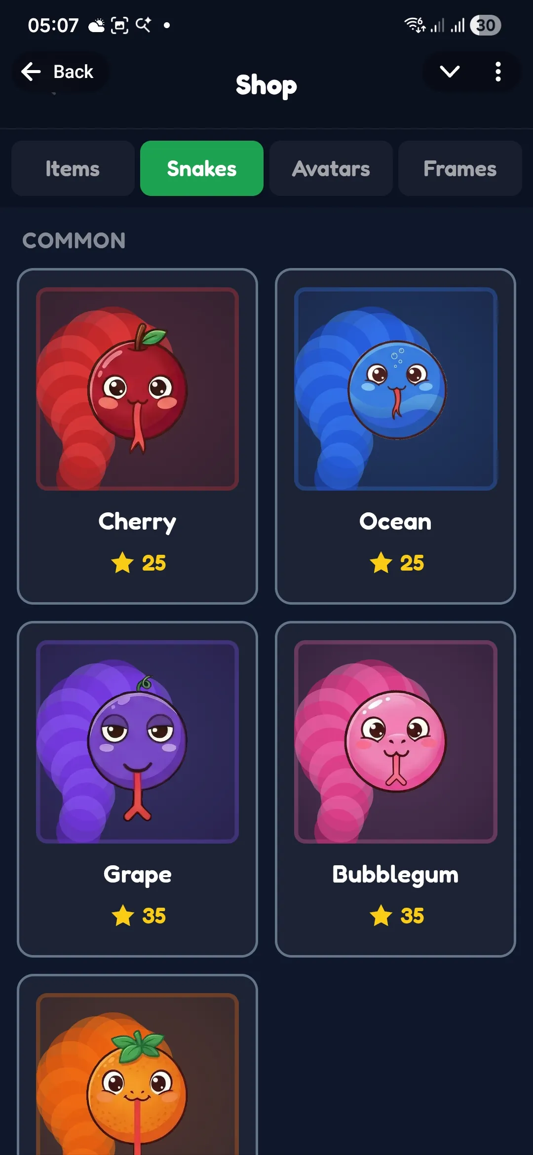 Snake skins available in the shop