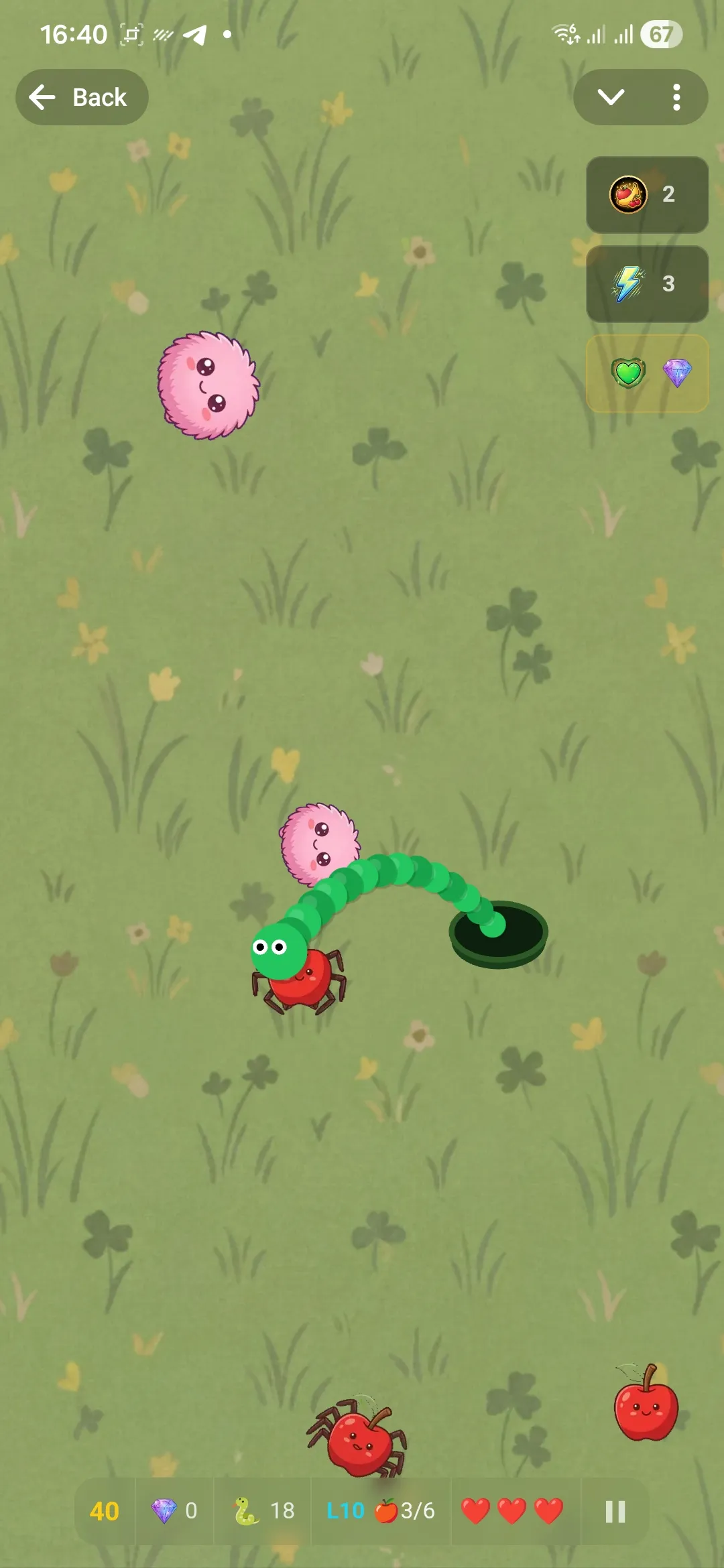 Snake landing on fruits after launching